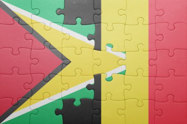 guyana ve Belçika Ulusal bayrak ile bulmaca