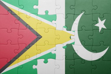 pakistan ve guyana ulusal bayrak ile bulmaca