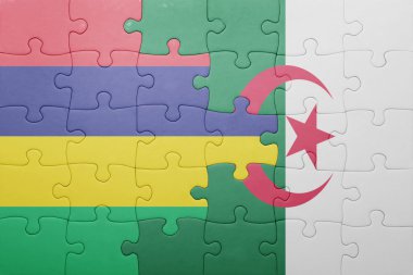 Cezayir ve Türkiye ulusal bayrak ile bulmaca