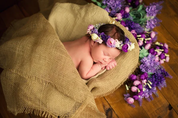 Zoete dromen van de pasgeboren baby. Mooi meisje met lila bloemen — Stockfoto