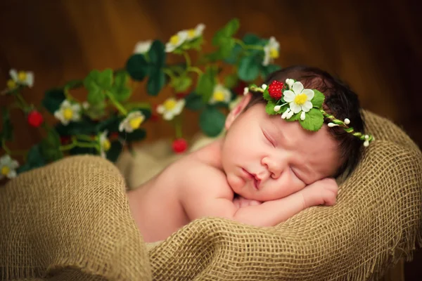 Newborn baby girl has sweet dreams in strawberries — Stock Photo, Image