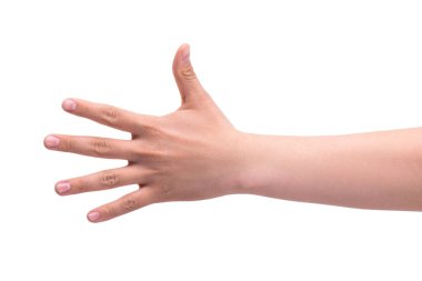 Jestler. Bir kişinin elinde beş parmak var. Hesap kavramı 1,2,3,4,5.