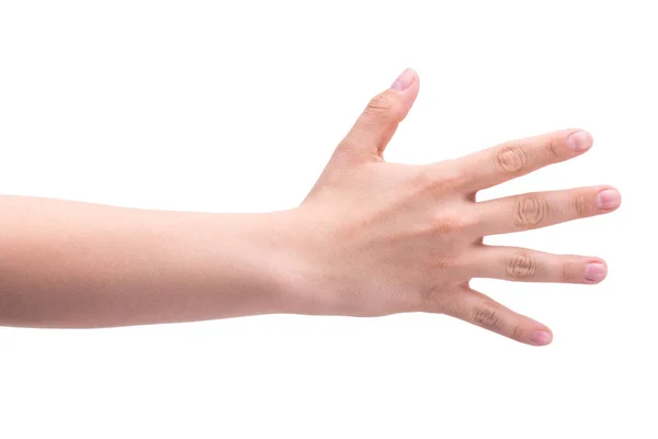 摆姿势 一个人的手有五个手指 账户概念1 — 图库照片