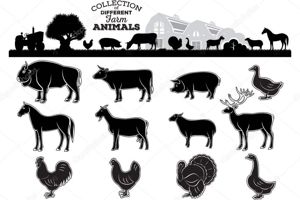 Set of different silhouettes and monochrome images of farm animals and birds