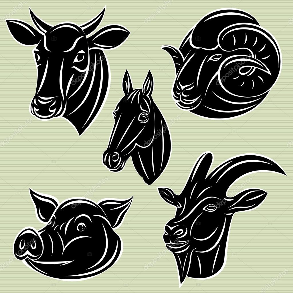 Collection of vector heads animals for design