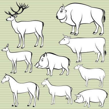 Tek renkli yabani ve evcil hayvanların kümesi