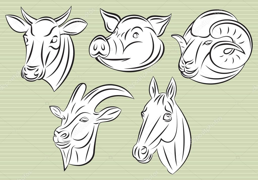 Collection of vector heads animals for design