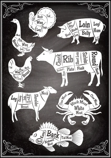 dizi diyagramları bölümleri farklı hayvan ve su ürünleri