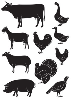 çiftlik hayvanları ve kuşlar ile vektör Icons set