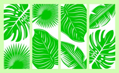 Yaz ve Doğa İlham Veren Grafikler İçin Tropikal Yapraklar ve Egzotik Yapraklar Dizisi.