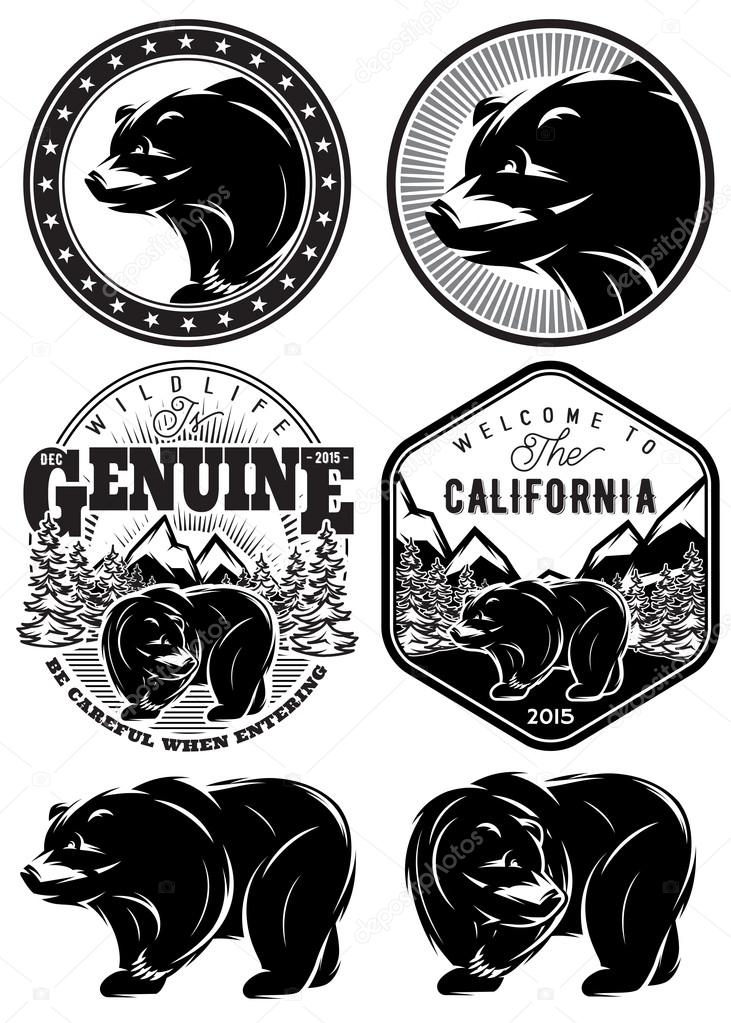 Set of stylish retro badges with bears, forest, mountains