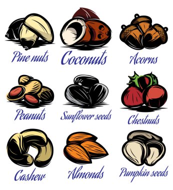 farklı renkli tohumlar, fındık, meyve sembolleri kalıpları ayarla