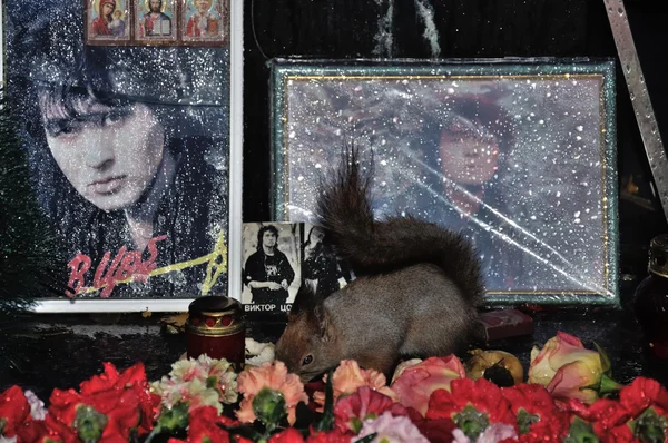 At the grave of Viktor Tsoi. Saint Petersburg — Stock Photo, Image