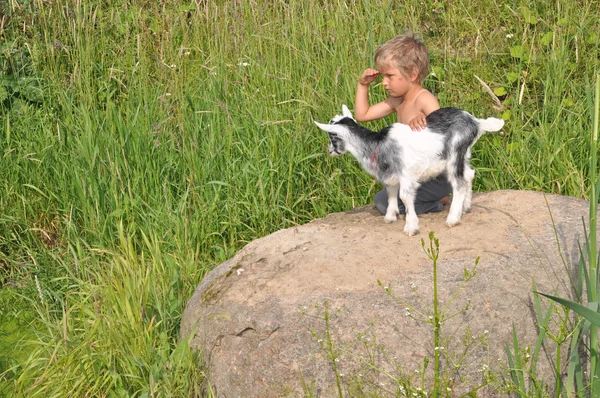 Un ragazzo guarda lontano, giocando la capra giovane — Foto Stock