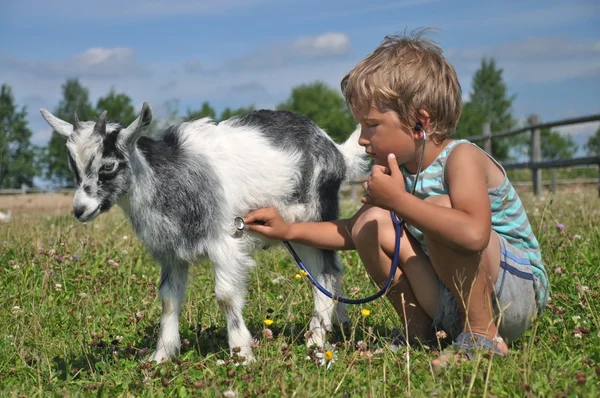 En pojke spelar en veterinär med en get — Stockfoto