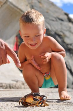 Yengeç tabaklanmış çocuk bakar.