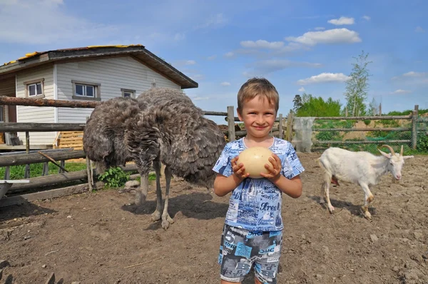 Een jongen met een ei Afrikaanse struisvogel. — Stockfoto