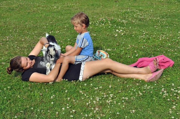 De goatling spelen op een gras — Stockfoto