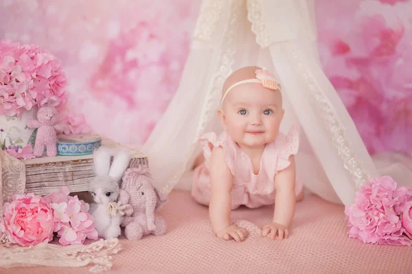 Menina Uma Sala Rosa Com Dossel Brinquedos Flores Rosa Sessão — Fotografia de Stock