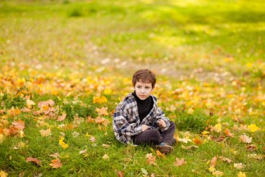 Ekose gömlekli çocuk, sonbahar parkındaki yeşil çimlere düşünceli bir şekilde oturur, çocuk sonbahar yapraklarında oturur.