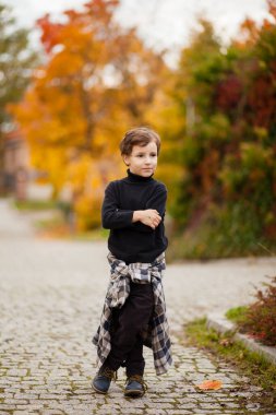Sonbahar parkında siyah kazak ve kahverengi pantolon giyen küçük çocuk kollarını kavuşturdu ve sonbaharda parkta yürüdü.