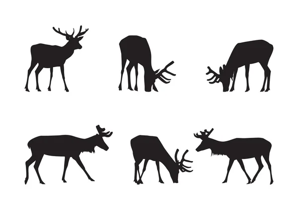 Buck Deer Silhouettes — Stock Vector