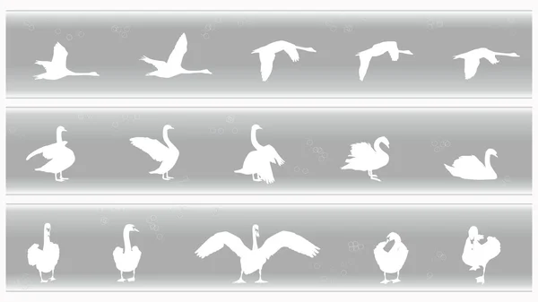 Swan Banners Set — Stock Vector