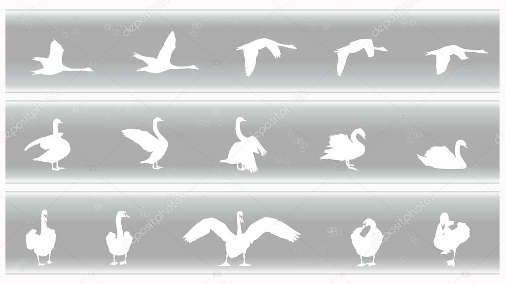 Swan Banners Set