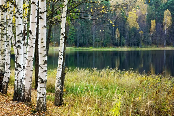 ロシアのニジニ ノヴゴロド地方の秋の湖Svetloyar — ストック写真