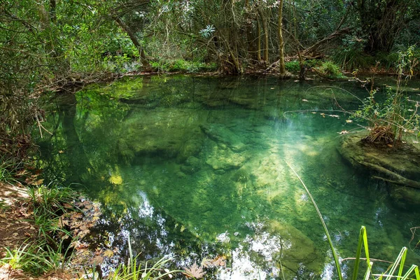 Türkiye Nin Antalya Kentindeki Saydam Orman Gölü Stok Fotoğraf