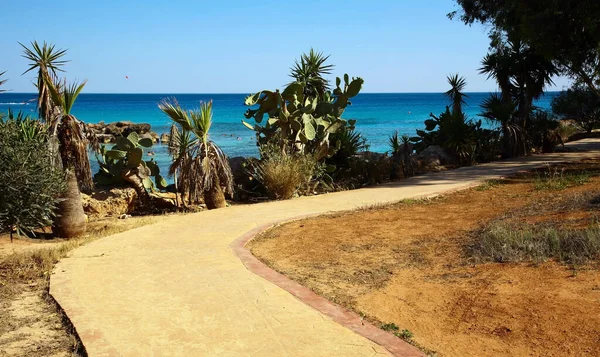 Pěší Stezka Podél Středozemního Moře Blízkosti Hotelu Adams Beach Ayia — Stock fotografie