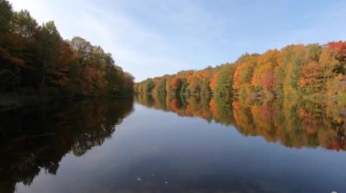 Nizhny Novgorod 'daki bir orman parkında altın sonbahar