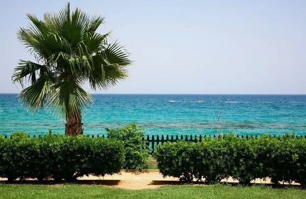 Morning Promenade Mediterranean Sea Protaras Cyprus — Stock Photo, Image