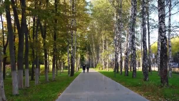 Nizhny Novgorod Russia Settembre 2021 Nuovi Sentieri Nel Parco Centrale — Video Stock