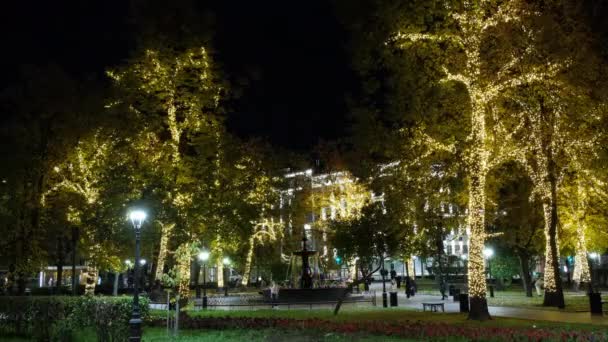 Nižný Novgorod Rusko Září 2021 Osvětlená Kašna Obklopená Zlatými Stromy — Stock video