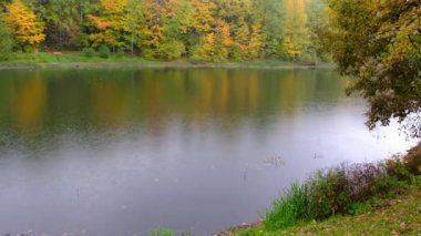 Sonbahar parkında sabah çiselemesi. Renkli yapraklı güzel ağaçlar.