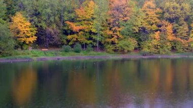 Sonbahar ağaçlarıyla yağmurda göl