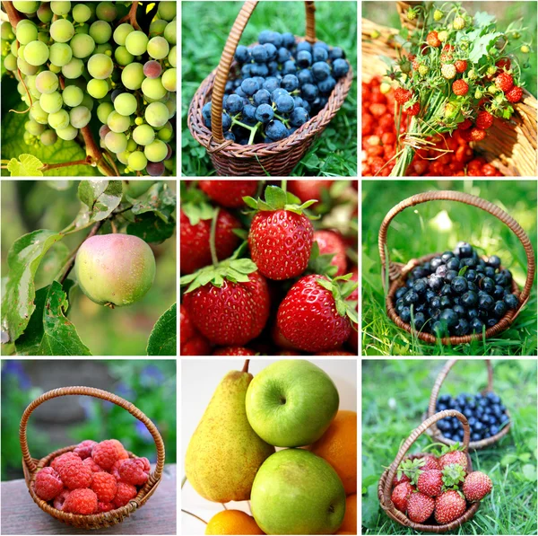 Frutti e bacche — Foto Stock