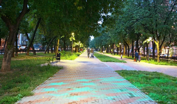 City park Zvezdinka with evening blue stars — Stock Photo, Image