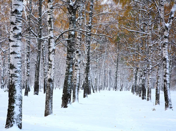 Snow in october — Stock Photo, Image