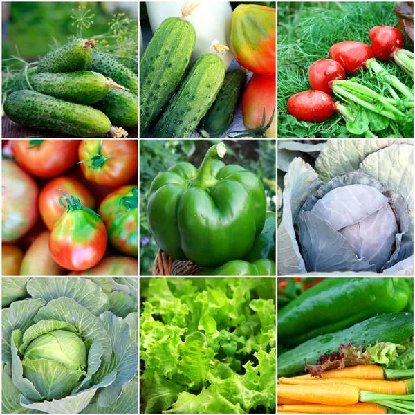 Sund mad baggrund - indsamling med farve grøntsager - Stock-foto