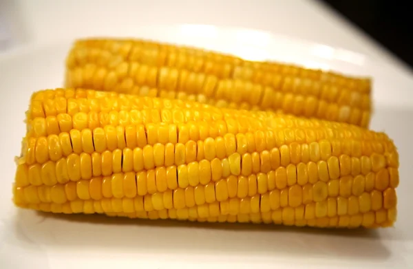 Maïs bouilli sur une assiette — Photo