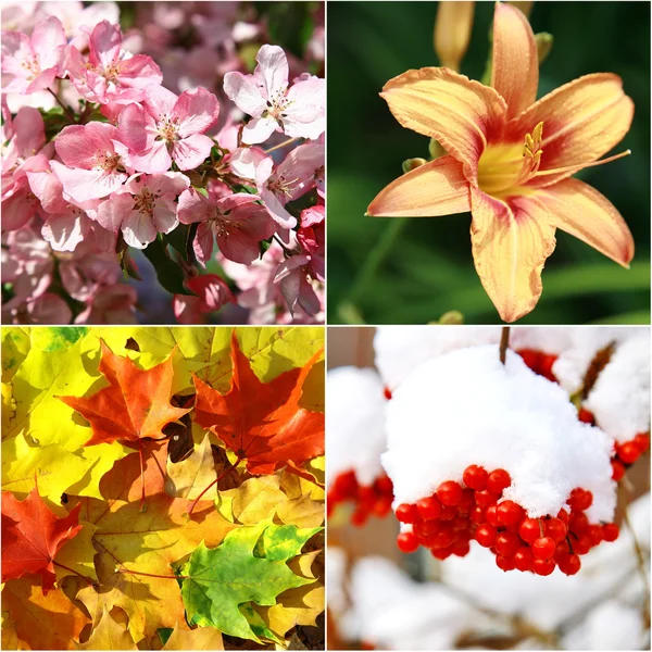 Collage of four seasons Royalty Free Stock Photos