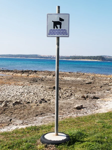 Playa de perro —  Fotos de Stock