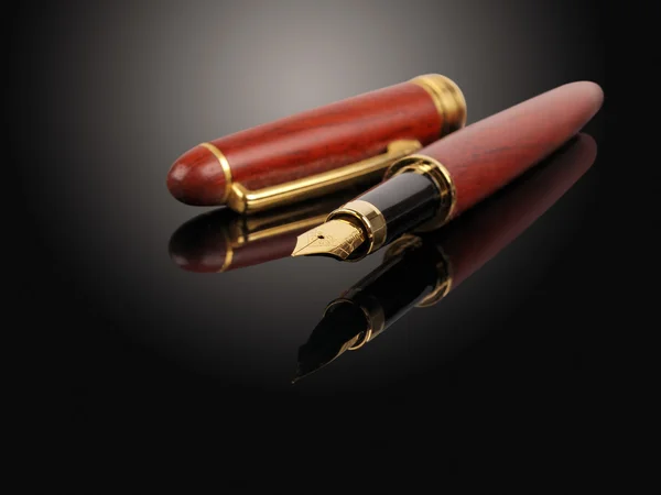 Brown fountain pen — Stock Photo, Image