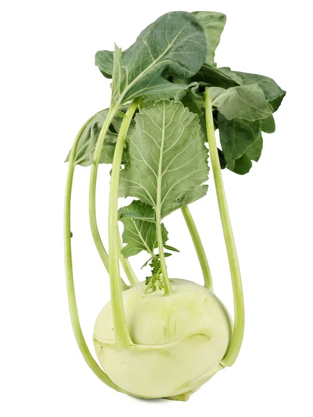 Kohlrabi studio shot — Stock Photo, Image