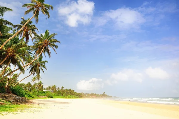 Bella spiaggia di sabbia — Foto Stock