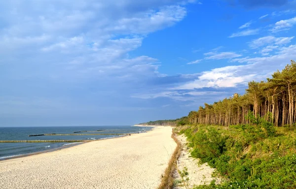 Pobřeží Baltského moře pláž — Stock fotografie