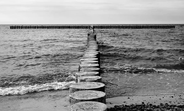 Mar Báltico y muelle de madera — Foto de Stock