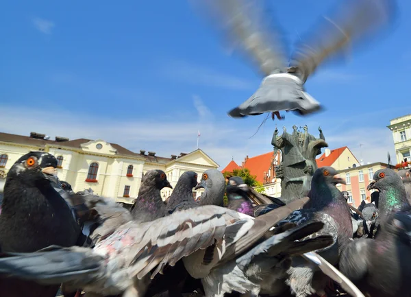 Old Town of Bydgoszcz — Stock Photo, Image